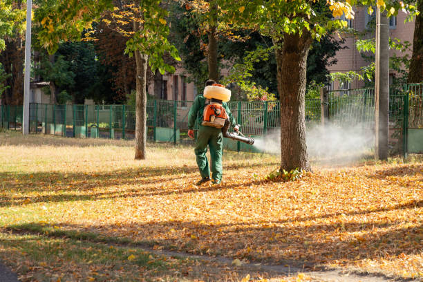 Reliable Poipu, HI Pest Control Solutions